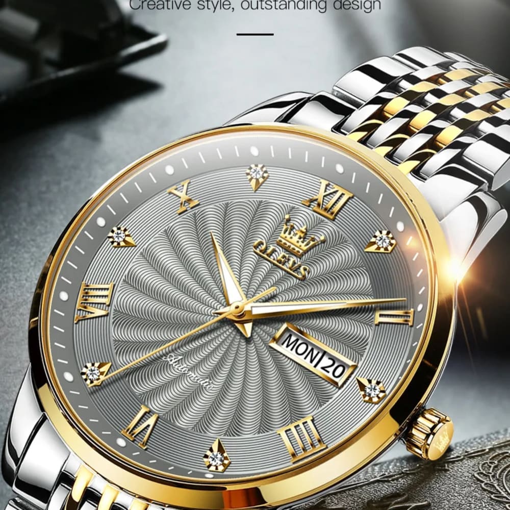 OLEVS Men Mechanical Automatic Watch 